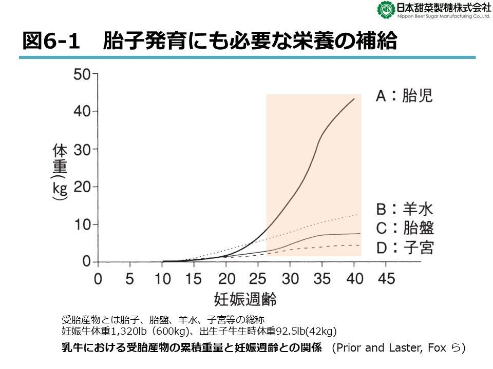 シリーズ 乳牛の分娩前後の低カルシウム血症 乳熱 を考える 第六回 骨へのca蓄積は泌乳後期から乾乳前期がチャンス ニッテン配合飼料 シリーズ 乳牛の分娩前後の低カルシウム血症 乳熱 を考える 第六回 骨へのca蓄積は泌乳後期から乾乳前期がチャンス ニッテン配合飼料
