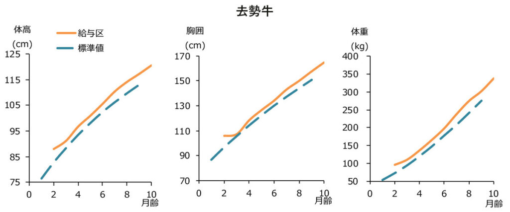 日甜和牛育成給与時の体高・胸囲・体重の変化（去勢牛）