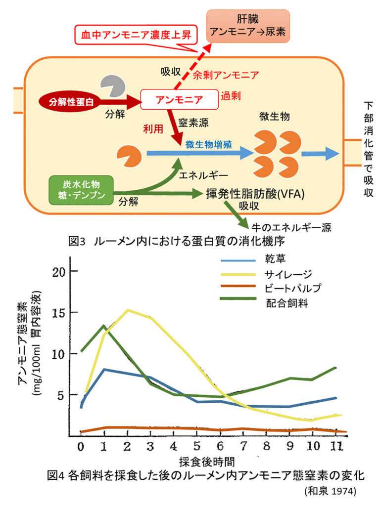 ビートパルプのアンモニア軽減